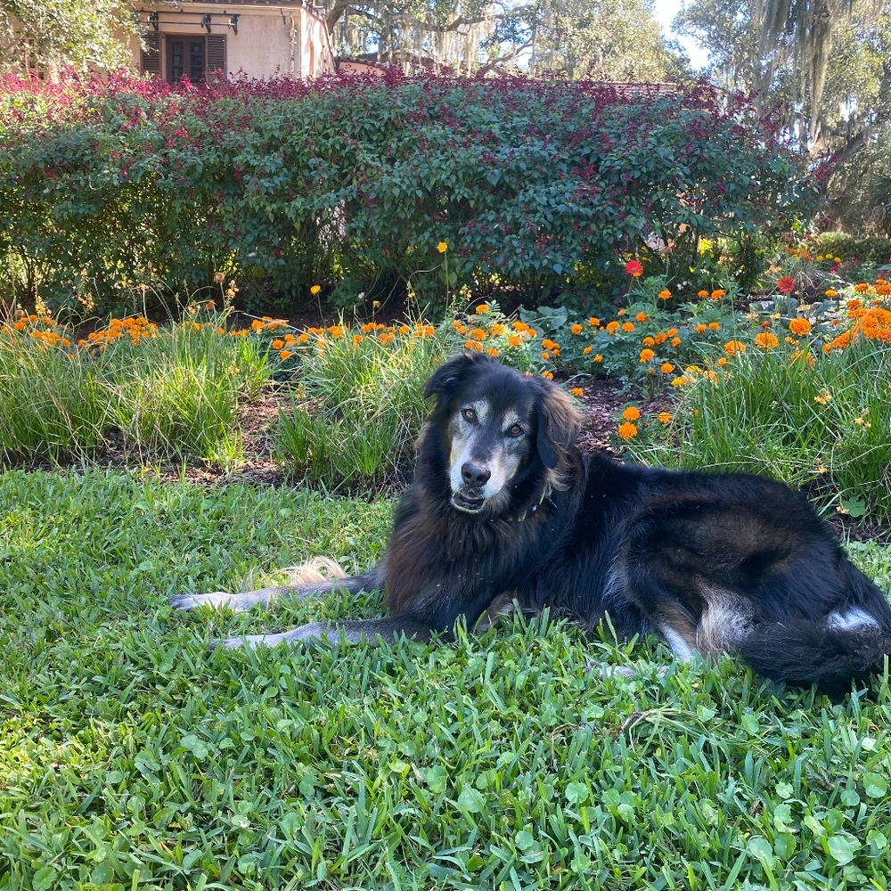 Meet your Posher, Rhonda